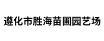 杜仲