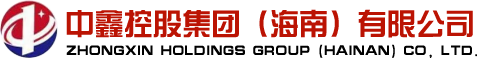 中鑫控股
